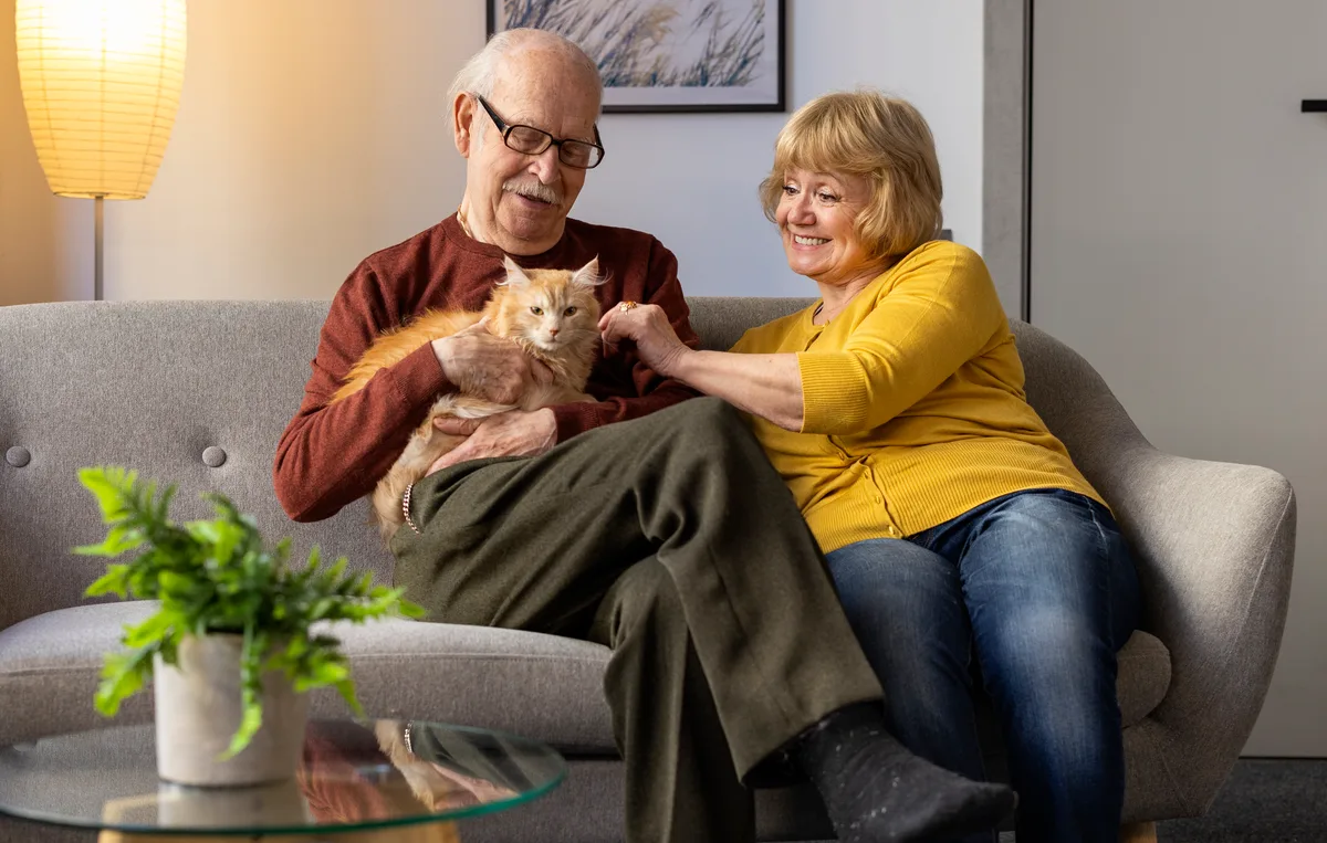 Senior accompagné pour comparer sa mutuelle